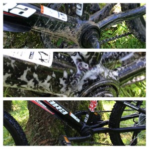 11198425_10206901109225410_30018785_n