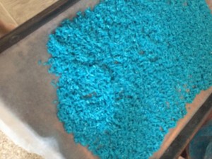 11667856_10207457773061658_1568124962_n