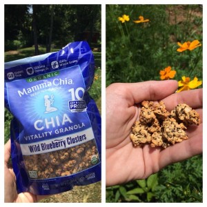 Mamma Chia Granola Clusters