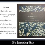 esv journaling bible