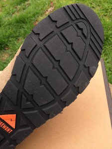 12359387_10208551753130476_685927982_o