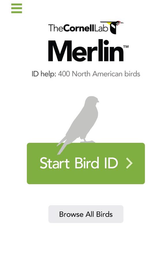 1418298_10208836195001345_863762445_n