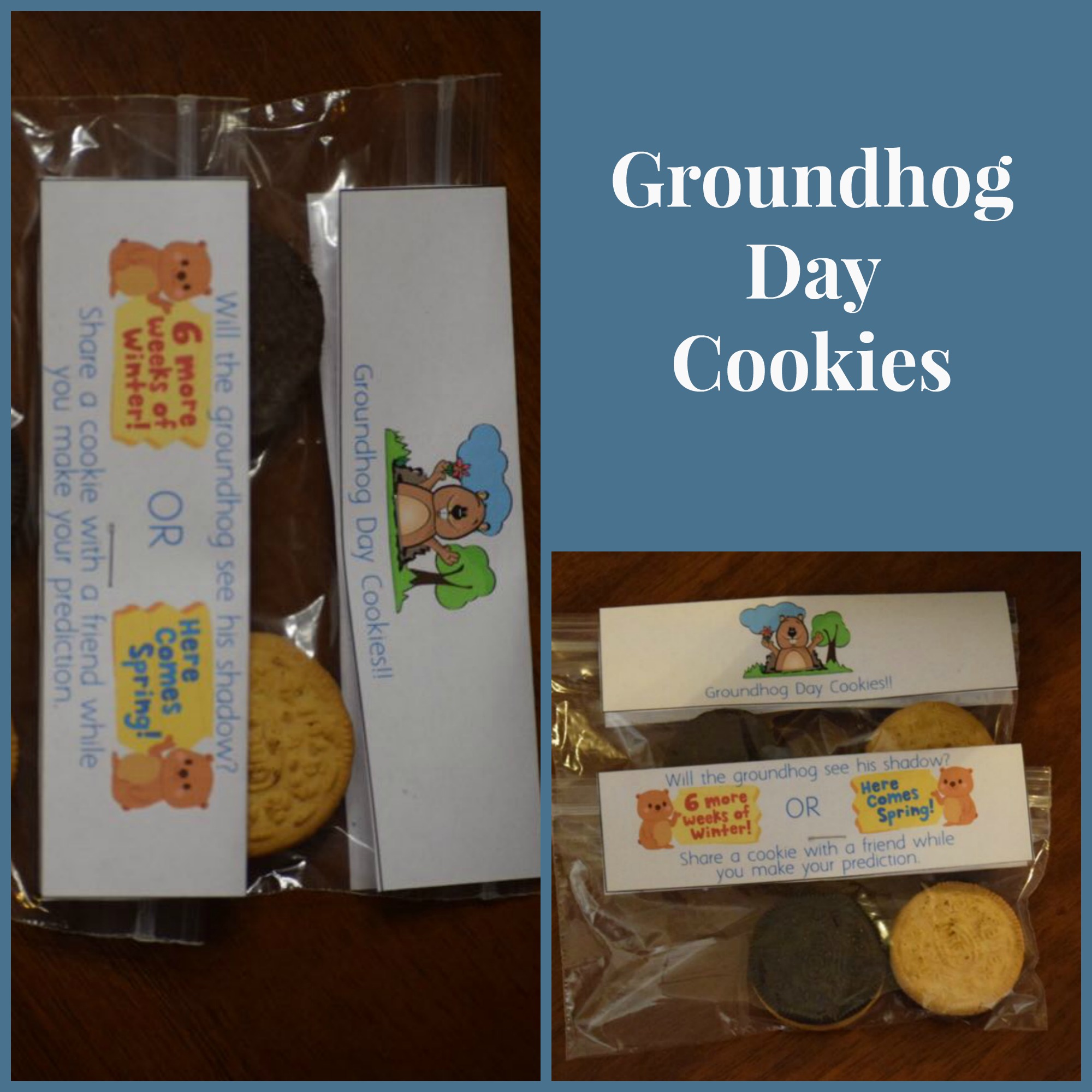 groundhog day cookies