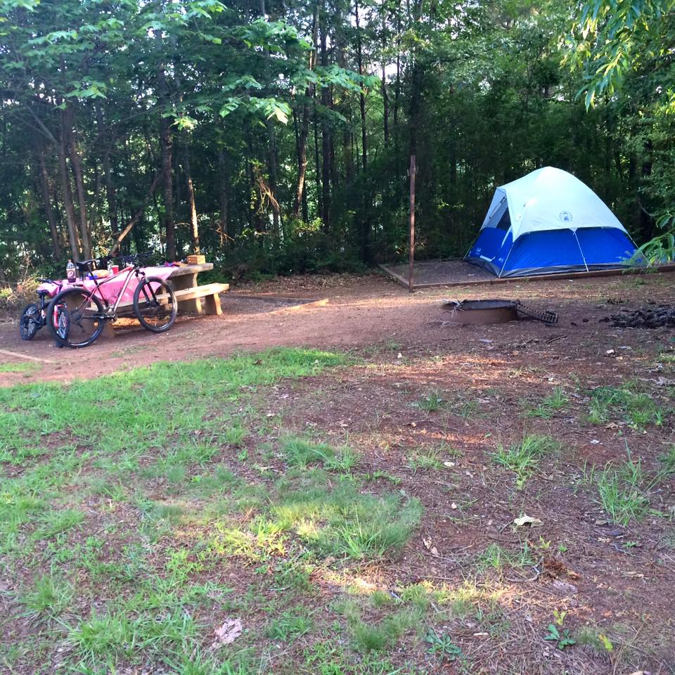 11401474_10207199252598808_6014210175121347824_n