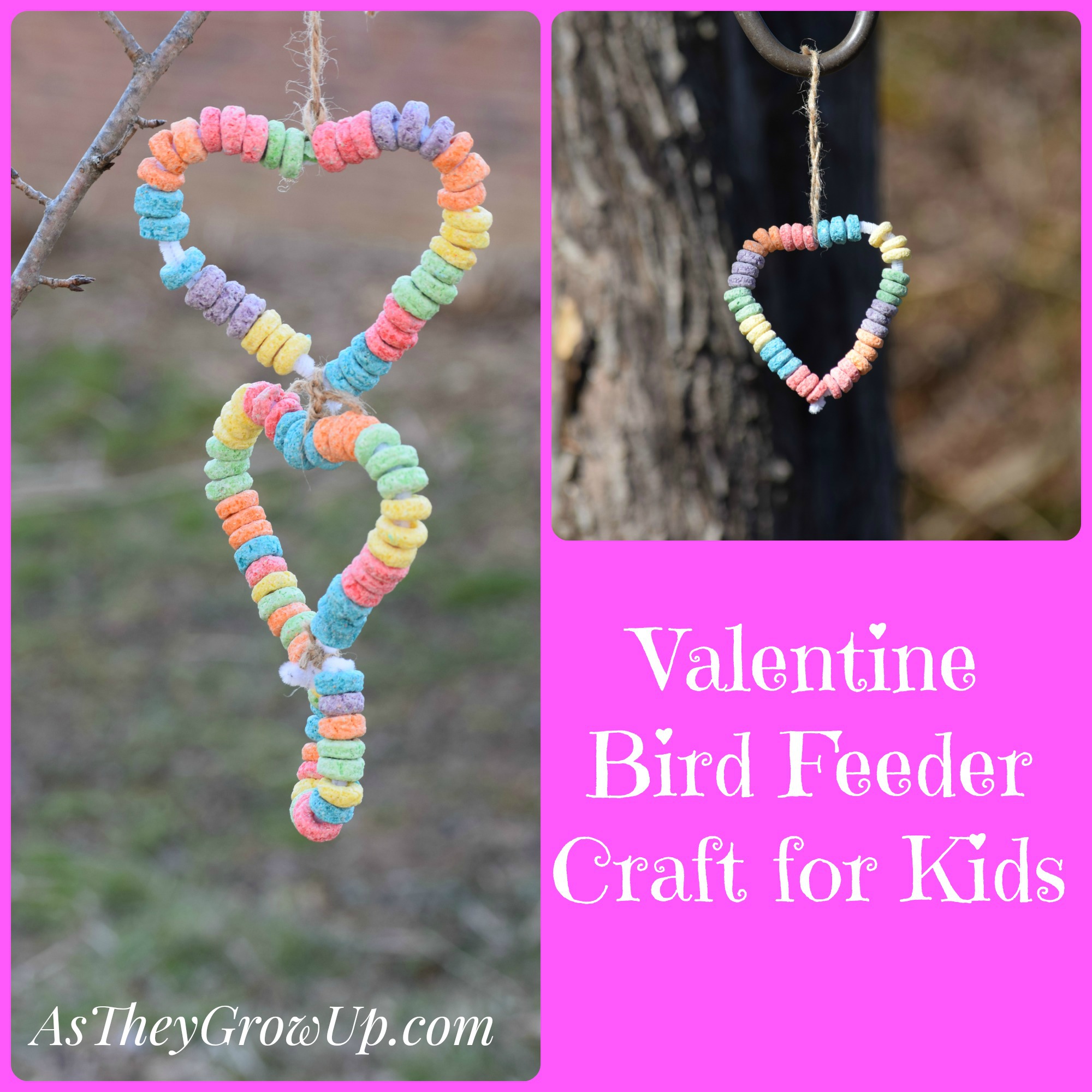 Valentine's Day Bird Feeder Valentine's Day Bird Feeder