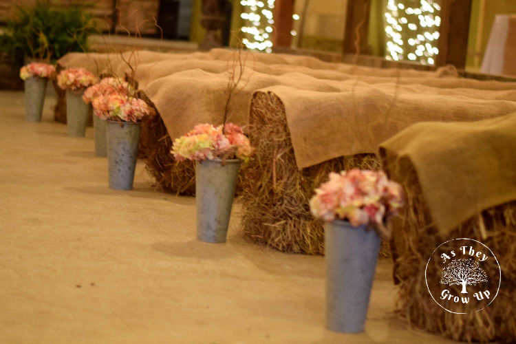 Wedding Planning on a Budget