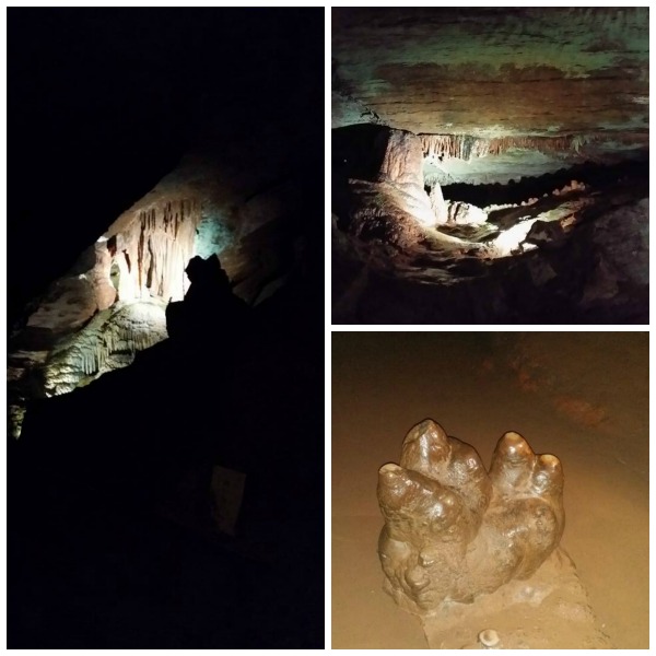 5 Science Field Trips The Entire Family Can Enjoy