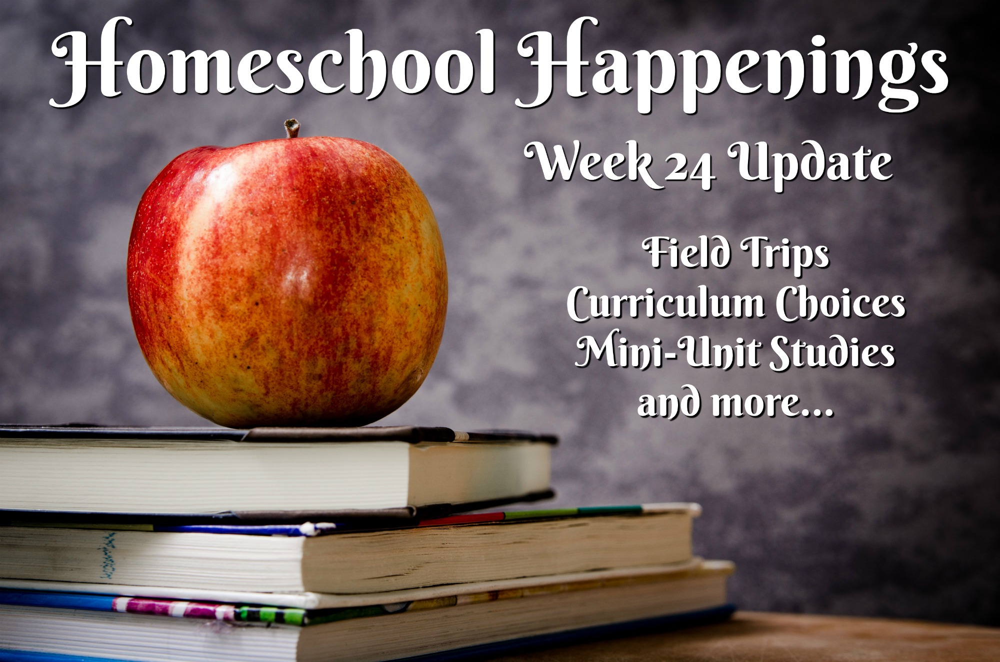 Homeschool Update Week 24