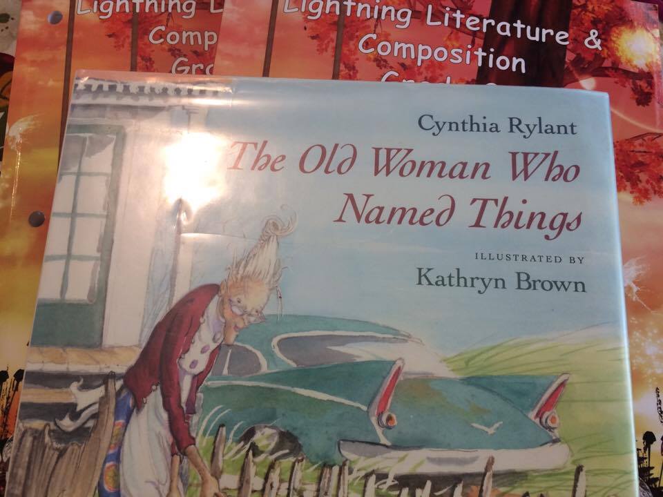 Hewitt Homeschooling Lightning Lit 