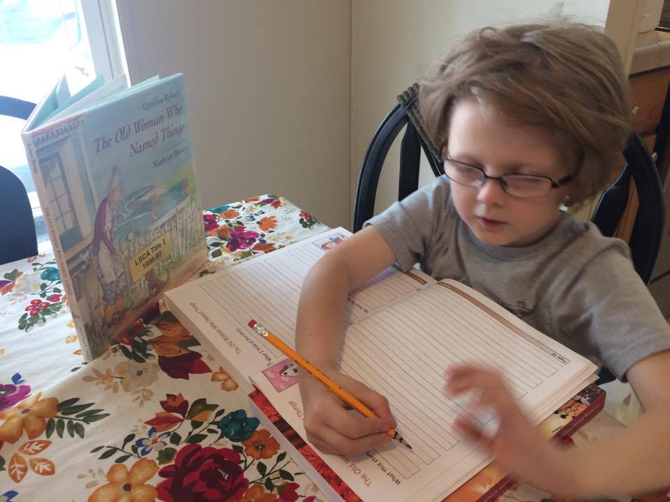 Hewitt Homeschooling Lightning Lit 