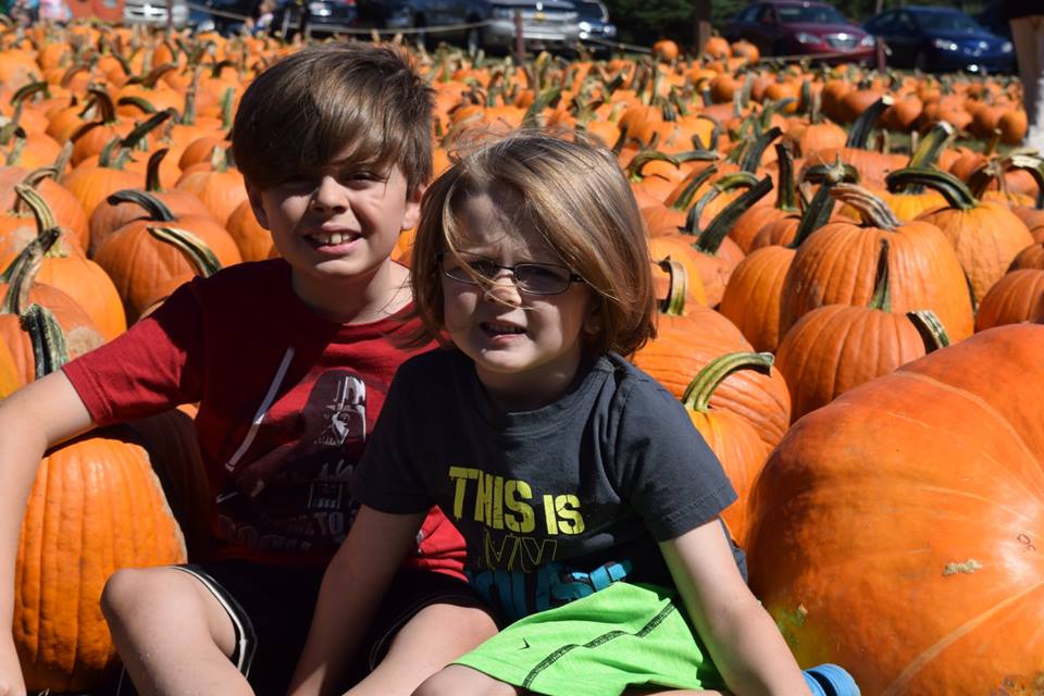 Pumpkin Patch