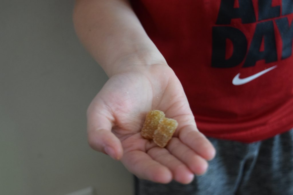 Yummi Gummi Organics