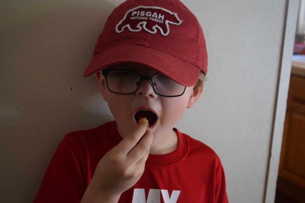 Yummi Gummi Organics