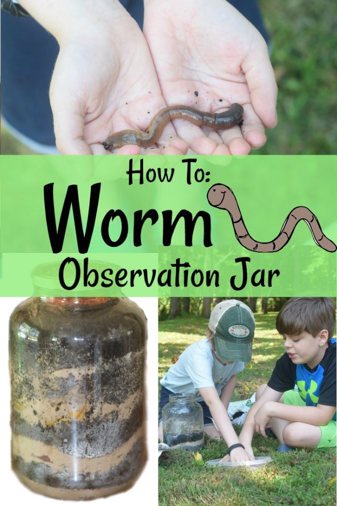 Observing Earthworms