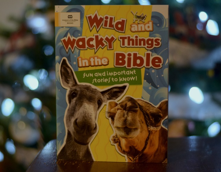 Museum of the Bible Books