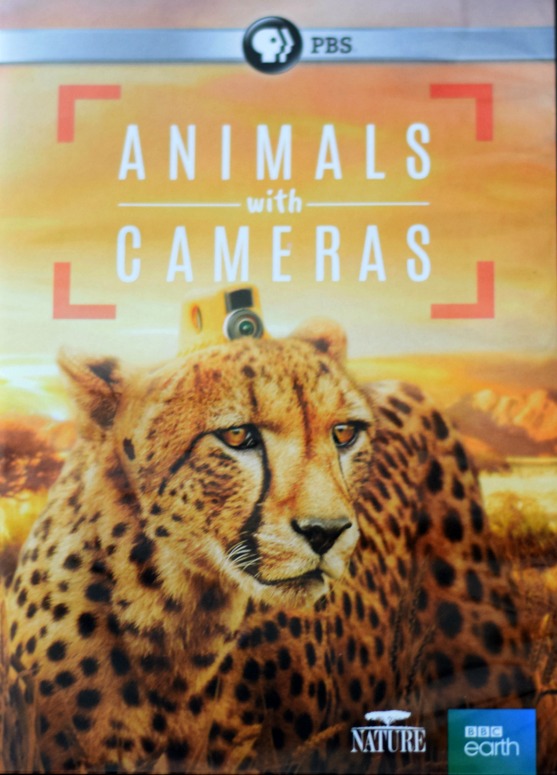 animals with cameras