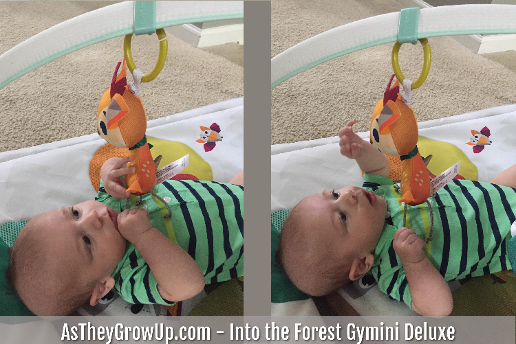 Gymini Deluxe Playmat