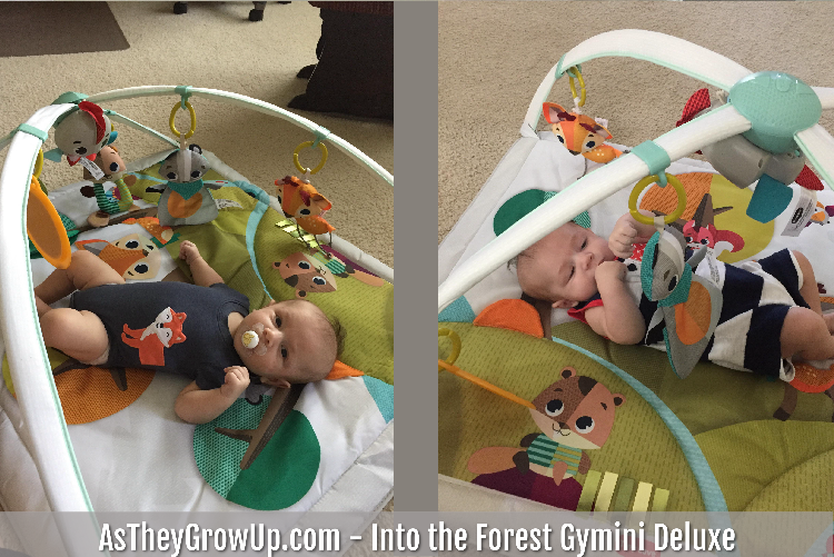 Gymini Deluxe Playmat