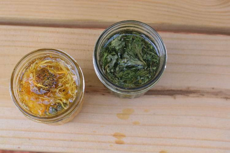 Herbal Oil Infusion