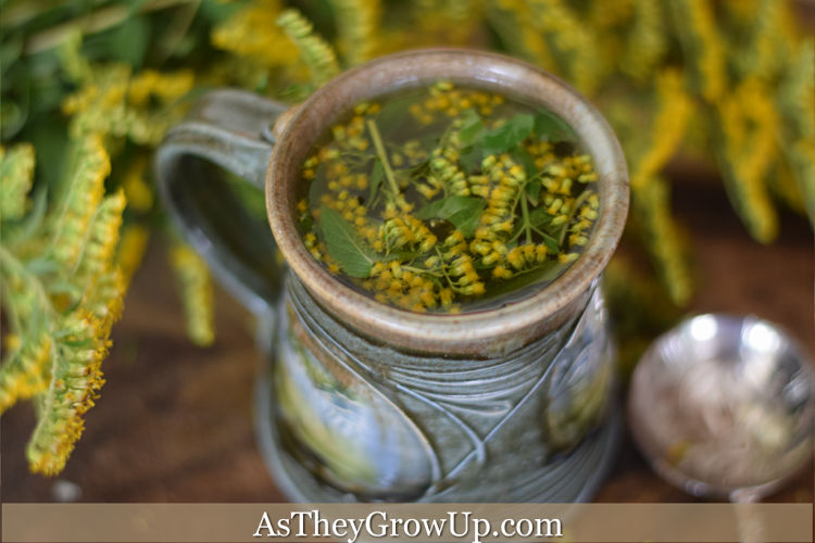 Goldenrod Tea