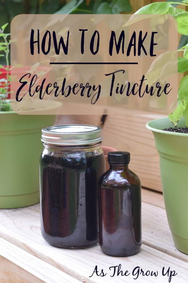 How to Make An Elderberry Tincture