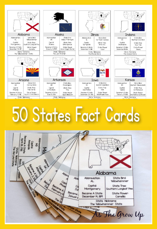 50 States Fact Cards